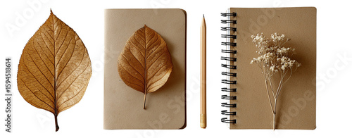 vintage flat lay dried leaf notebook, vintage flat lay dried leaf journal with pencil, vintage flat lay dried leaf composition on white