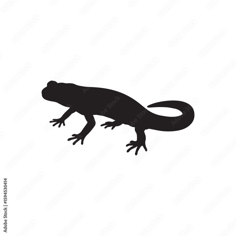 Fototapeta premium Lizard salamander animal. Vector image on white back ground