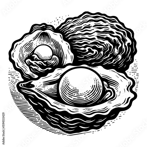 Monochrome Illustration of Three Open Oysters with Pearls on White Background