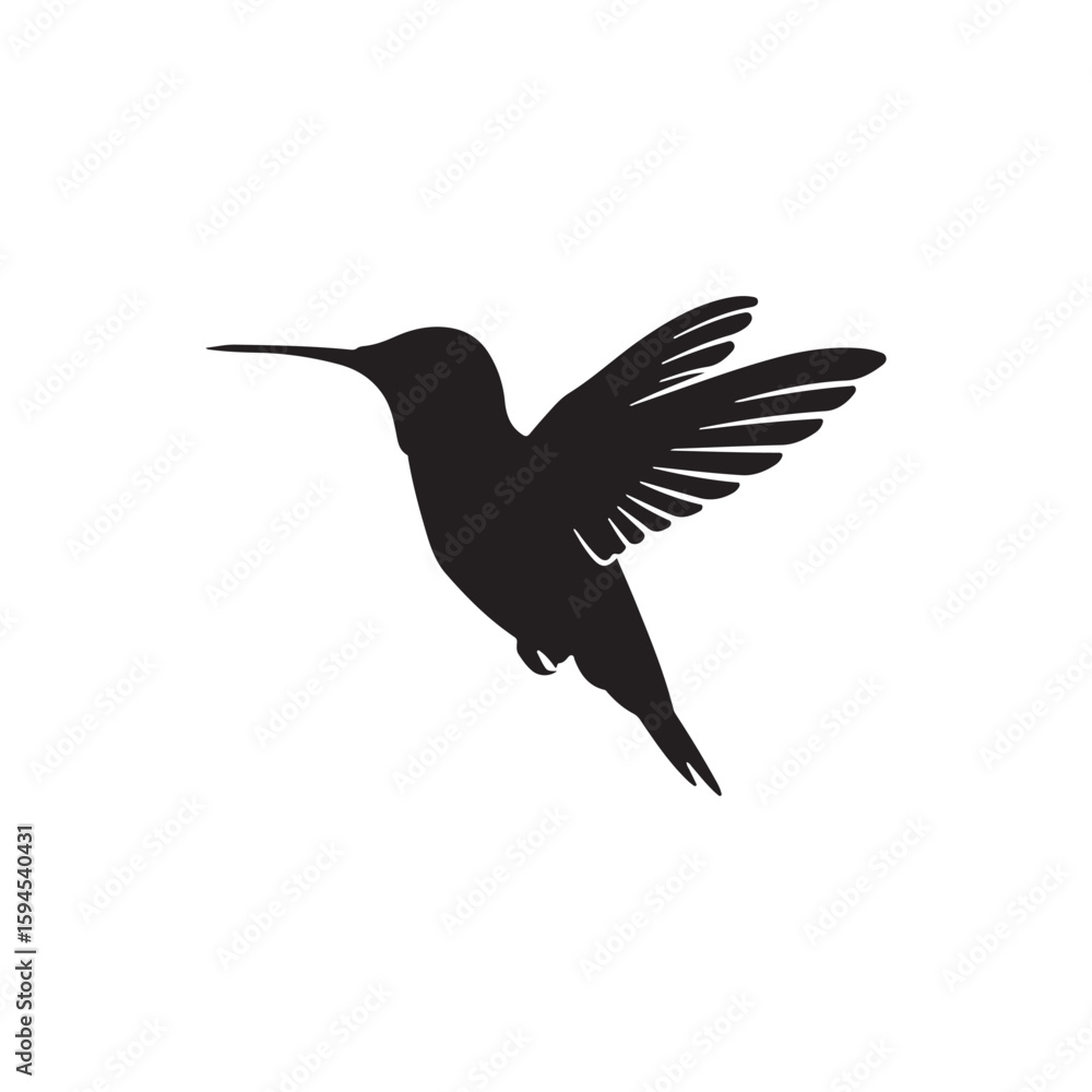 Obraz premium Hummingbird animal silhouette. Vector image on white background