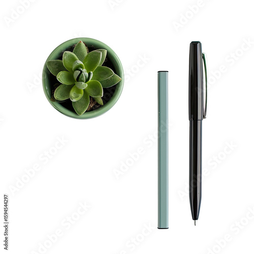 Succulent plant and pen, top-down view