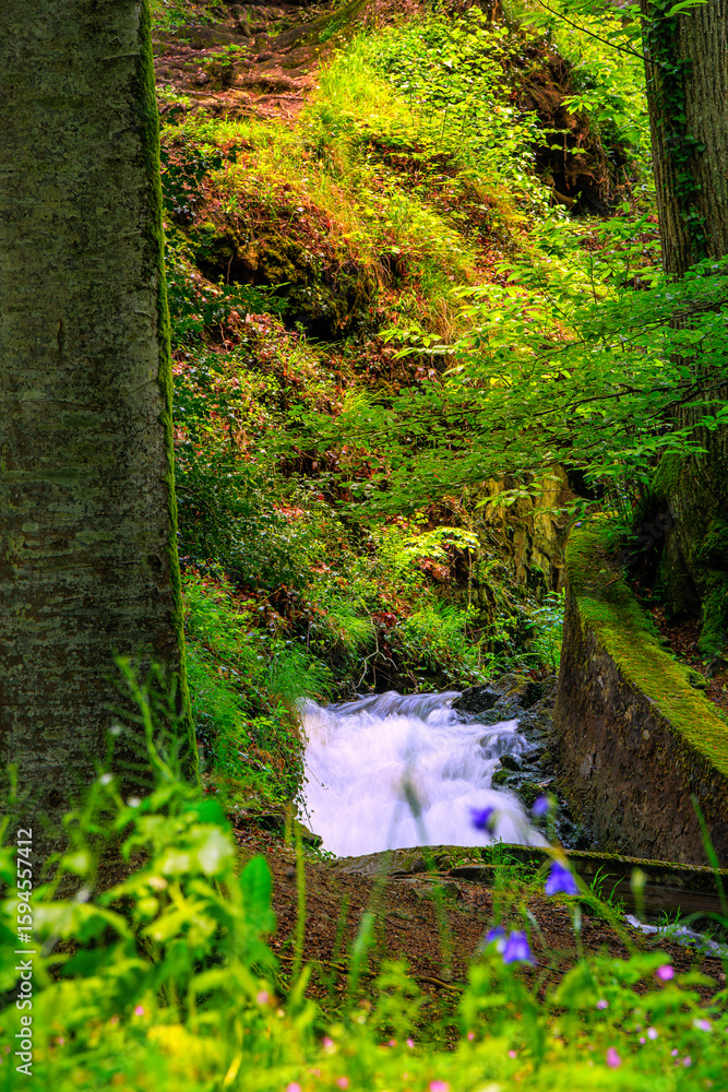 Obraz premium The Rigole de la Montagne Noire is an irrigation channel located in the Tarn department of France. It was built in the 19th century to supply water to the Canal du Midi, bringing water from the Montag
