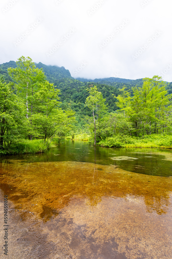 Fototapeta premium 高原の景色
