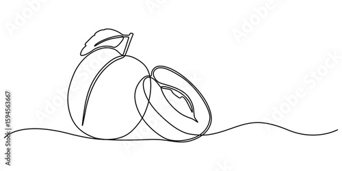 Single Line Drawing of a Plum Fruit Minimalist Art, Plum drawn in one continuous line. One line drawing, minimalism. Vector illustration, Plum fruits continuous one line drawing isolated on white back