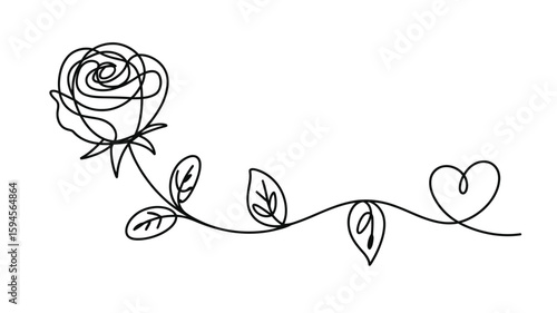 Elegant Rose Flower and Leaves Line Art Illustration on White