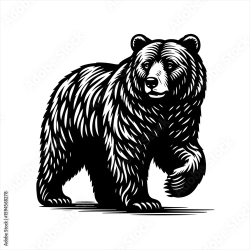 A walking black bear illustration