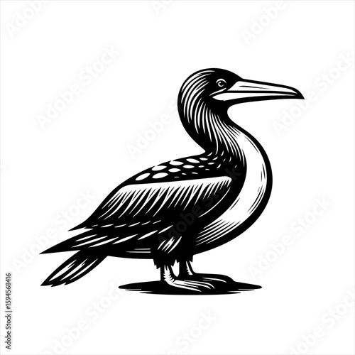 Seabird standing on shore