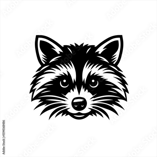 Raccoon face isolated on white background