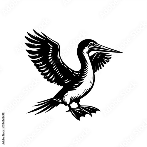 Bird with wings spread