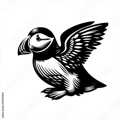 Puffin bird in flight