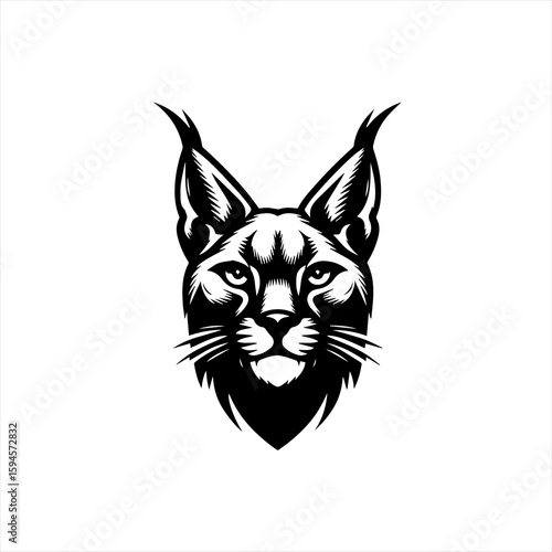 Lynx face with tufted ears