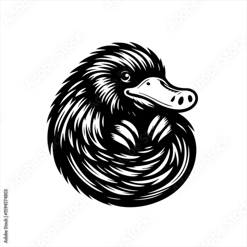 Platypus illustration