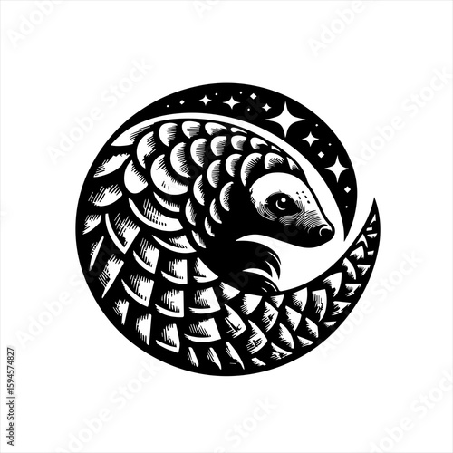 Pangolin curled up with stars