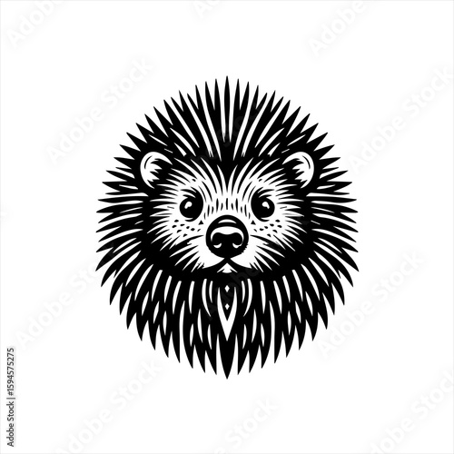 Hedgehog face