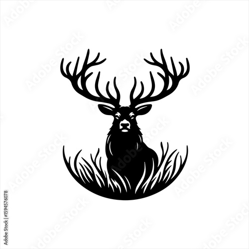 Deer with antlers
