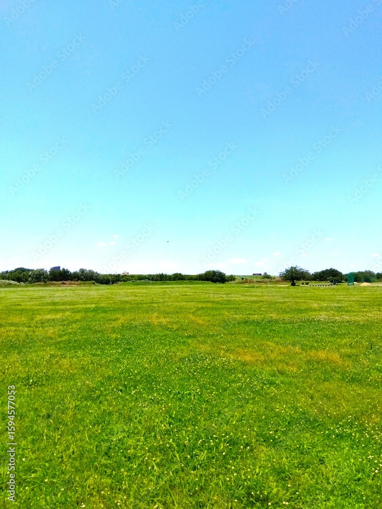 Fototapeta premium 初夏のシロツメクサ咲く江戸川河川敷の草原風景