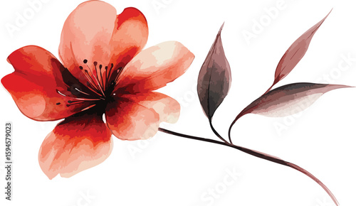 Watercolor Illustration of a Red Flower with Leaves on a White Background