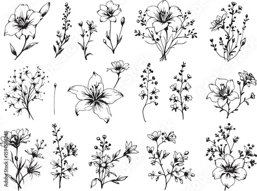 Floral design line art simple beauty captured in minimalist strokes