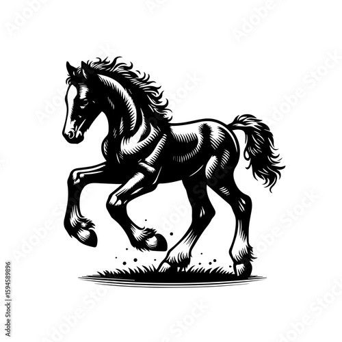 Majestic Black Stallion Galloping Freely.