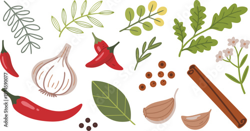 Colorful Illustration Featuring Chilies, Garlic, Cinnamon, Bay Leaf, Herbs, and Black Pepper Seeds