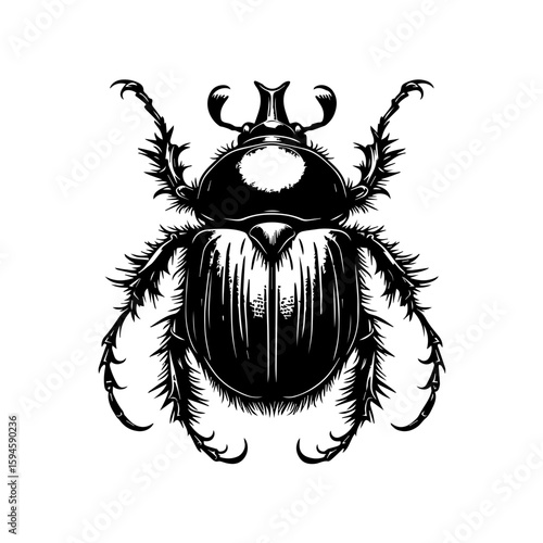 Detailed Black and White Rhinoceros Beetle Illustration.