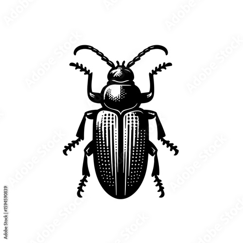 Black and White Stylized Beetle Illustration.