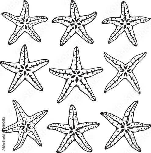 Blue starfish line art simple elegant design invited nature beauty