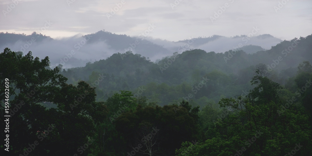 Obraz premium Raining over the greenery forest and hills
