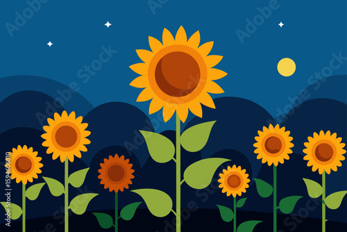 Blooming Sunflowers Catching Final Light of Day
