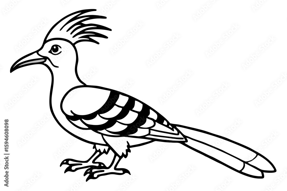 Obraz premium Stylized Hoopoe Line Drawing