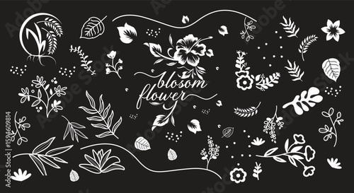 Flowers and Leaves Design Elements