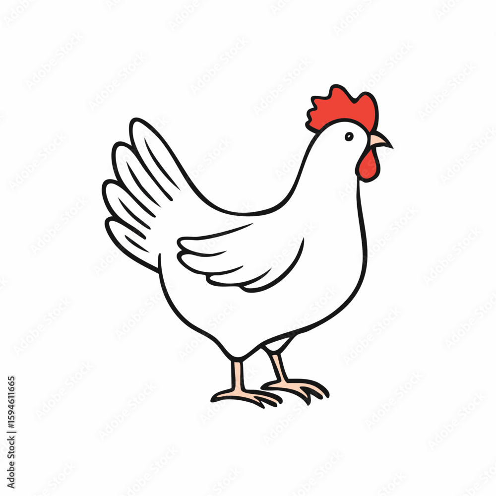 Isolated hen stands still on plain background, shows clear plumage and details Isolated hen stands still on plain background, shows clear plumage and details