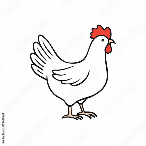 Isolated hen stands still on plain background, shows clear plumage and details