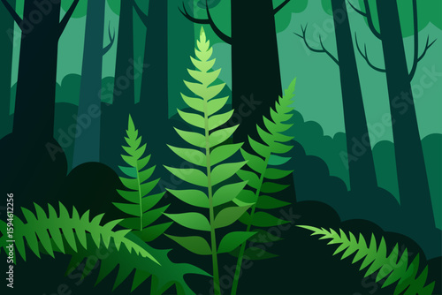 ferns growing in shaded woods