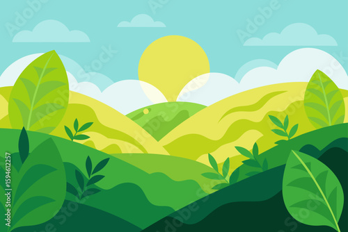 foliage covered hills in sunlight