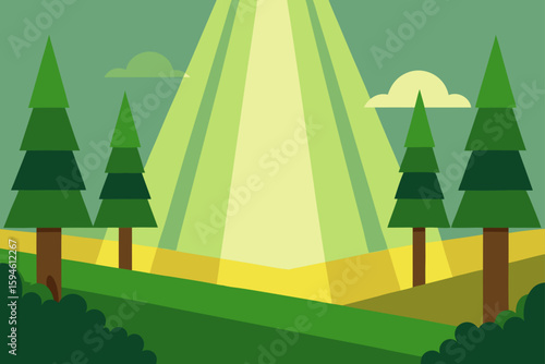 forest clearing with sunlight beam