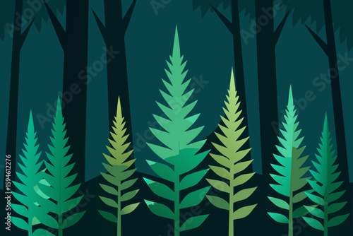 ferns growing in shaded woods