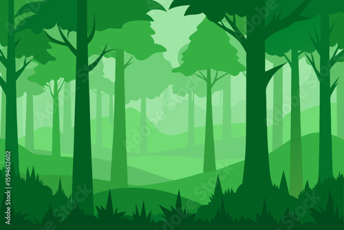 misty forest full of green trees