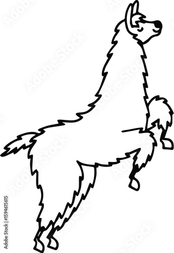 Outline of a llama standing on its hind legs isolated on transparent background