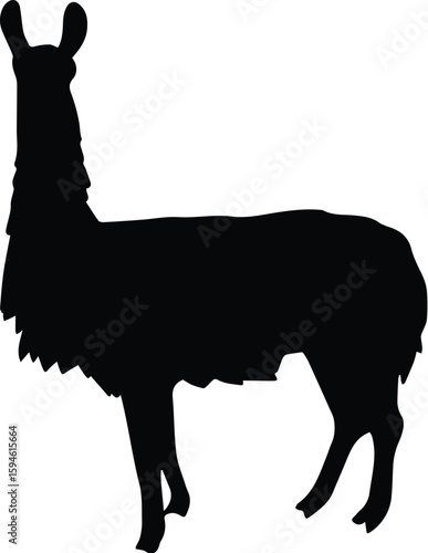 Silhouette of a llama isolated on transparent background standing in profile