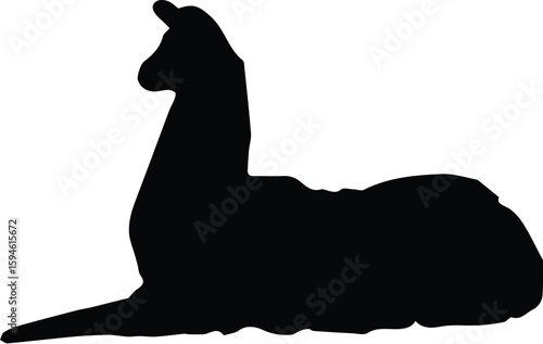 A llama is lying down in silhouette isolated on transparent background