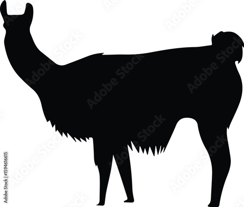 A black silhouette of a llama stands isolated on transparent background