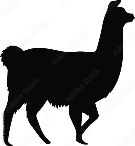 A black silhouette of a llama walks isolated on transparent background