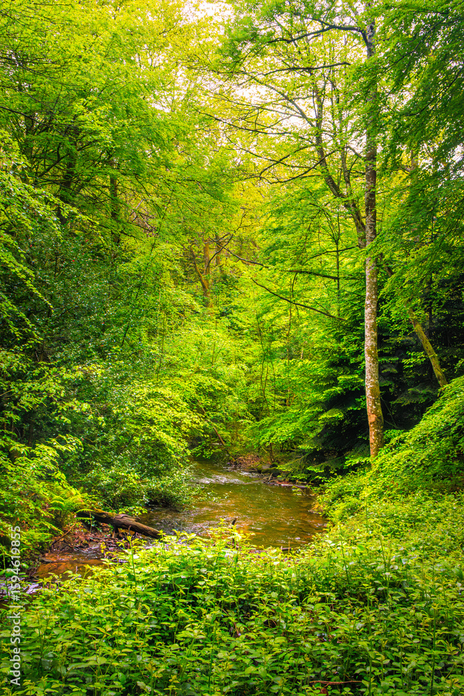 Fototapeta premium The Rigole de la Montagne Noire is an irrigation channel located in the Tarn department of France. It was built in the 19th century to supply water to the Canal du Midi, bringing water from the Montag