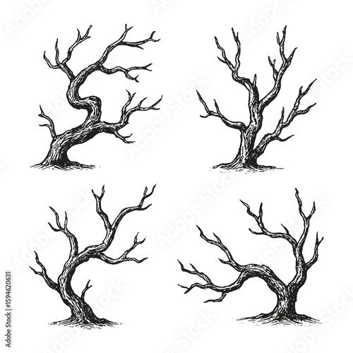 Set of four barren, leafless trees drawn in black and white vintage ink sketch style, evoking decay and solitude.