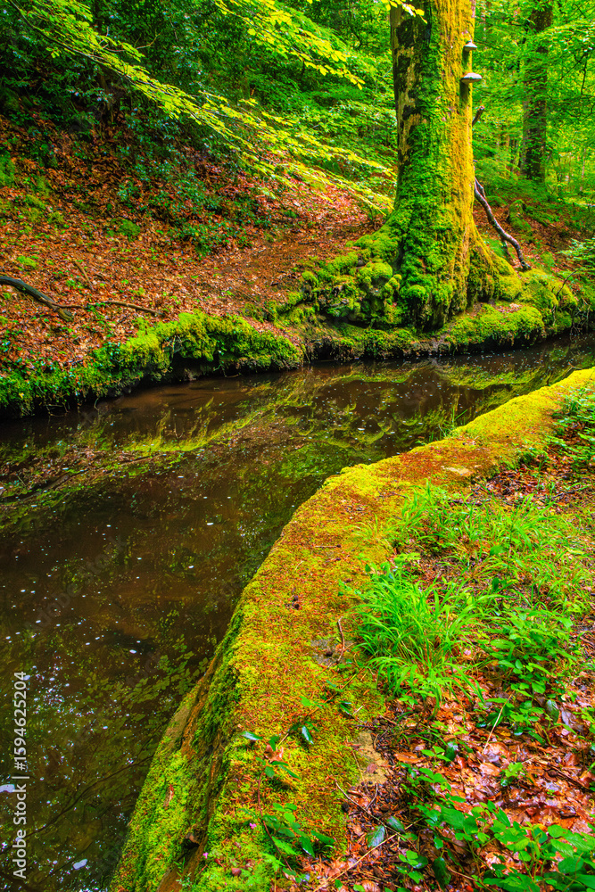 Fototapeta premium The Rigole de la Montagne Noire is an irrigation channel located in the Tarn department of France. It was built in the 19th century to supply water to the Canal du Midi, bringing water from the Montag
