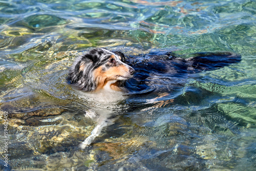 HRV, Kroatien, Brac, Insel in Dalmatien, Milna