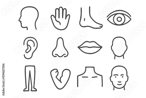Human body symbols: head, hand, foot, eye, ear, nose, lips, body parts illustration