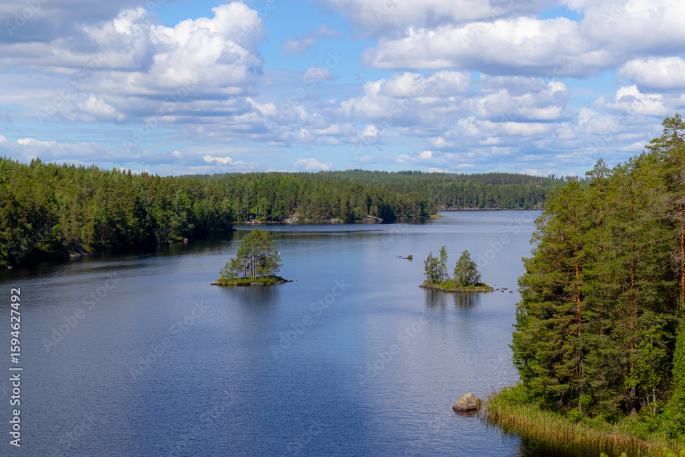 Fototapeta premium The lake and forest in Repovesi national park. Finland.