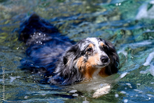 HRV, Kroatien, Brac, Insel in Dalmatien, Milna